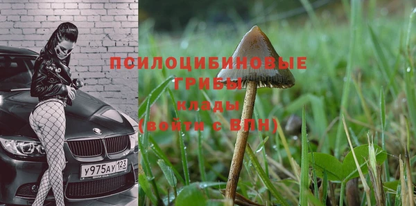 стафф Дегтярск