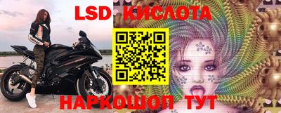 гашик Дубна