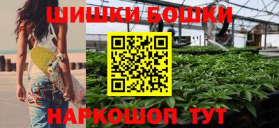 гашик Дубна