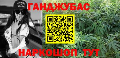 гашик Дубна