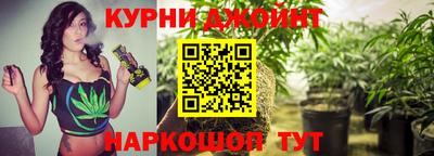 гашик Дубна